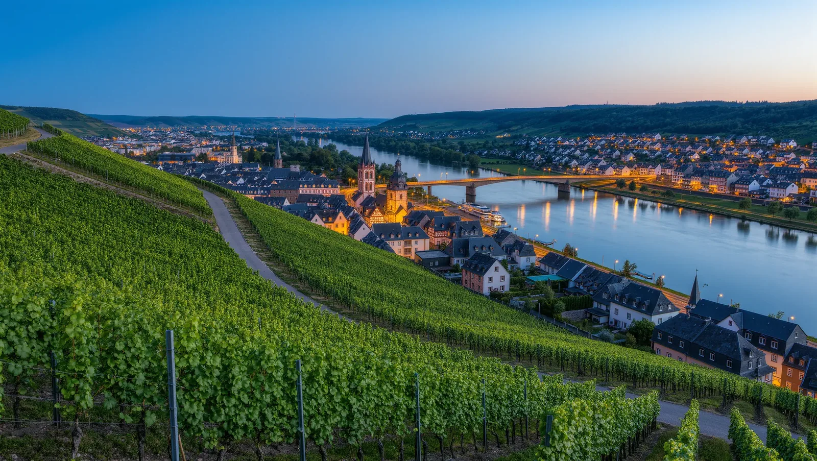Symbolbild Weinbergterrassen über einer Flussstadt