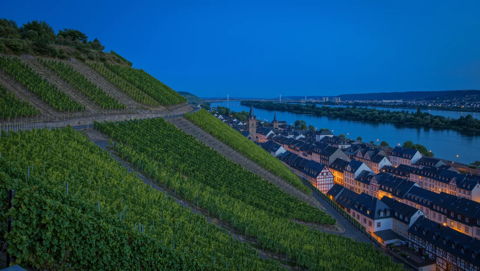 Symbolbild Weinbergterrassen über einer Flussstadt